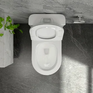 Ảnh 4 của Bàn cầu một khối S302