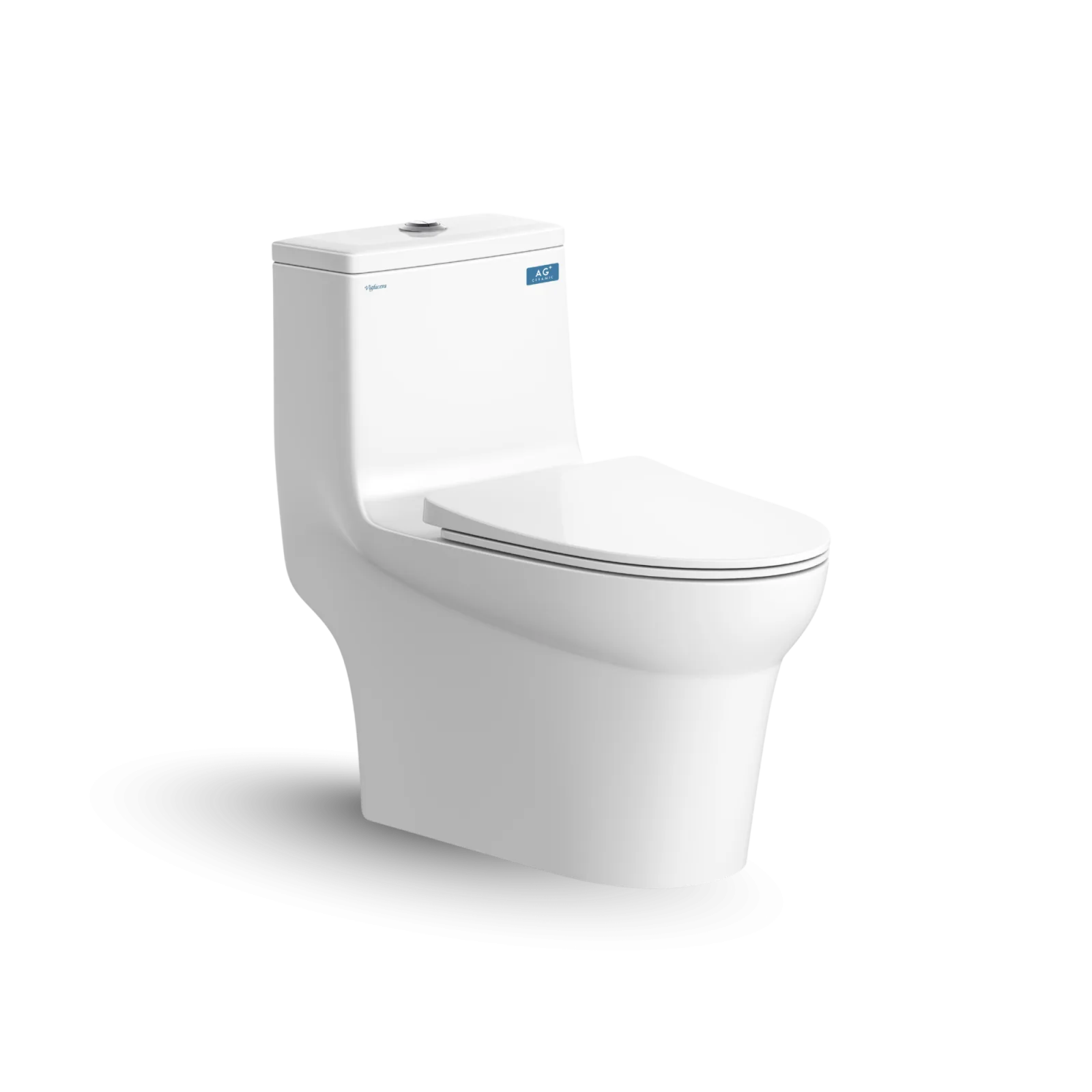 Bàn cầu một khối V65