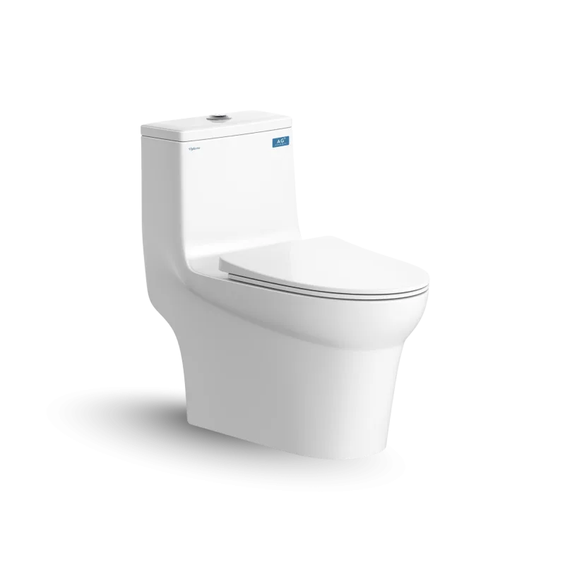Bàn cầu một khối V65