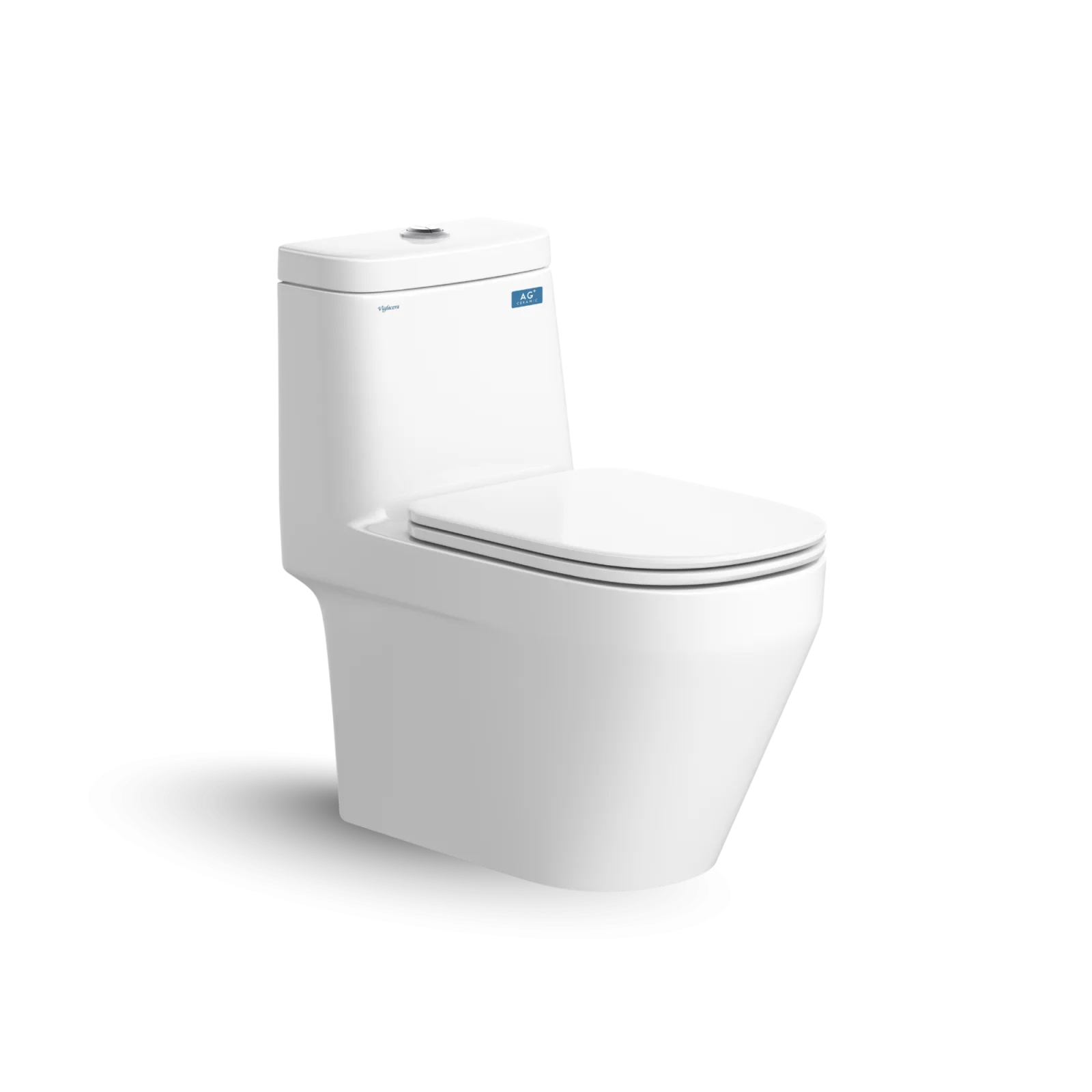 Bàn cầu một khối V68