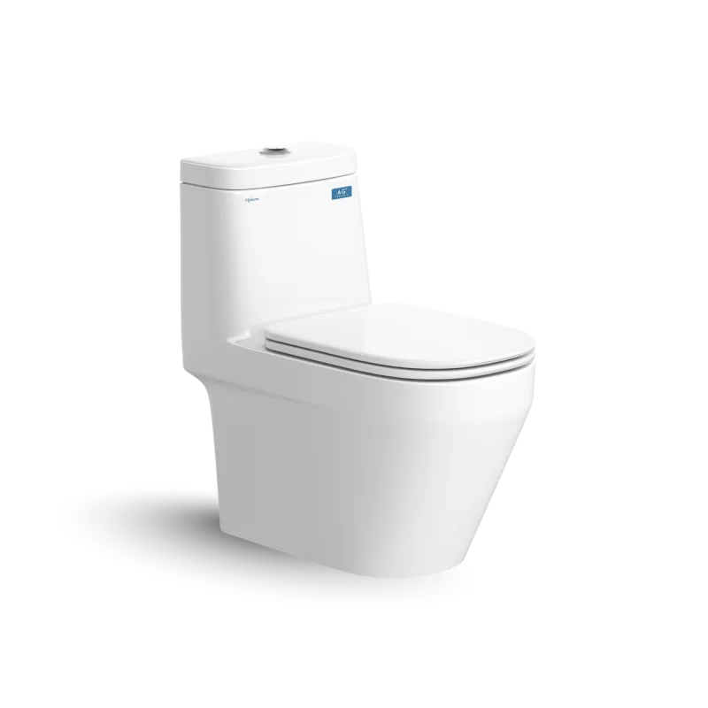 Bàn cầu một khối V68
