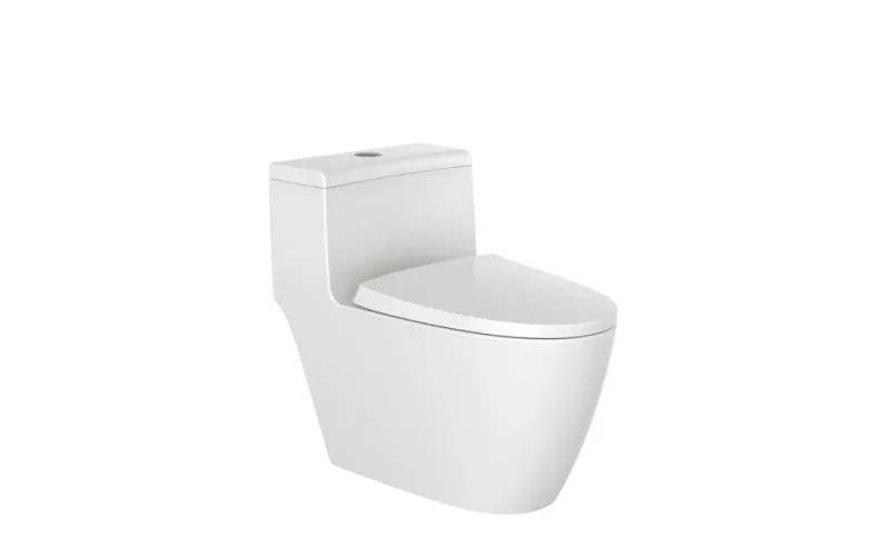 Bàn cầu một khối 11246-2/31KA-I011