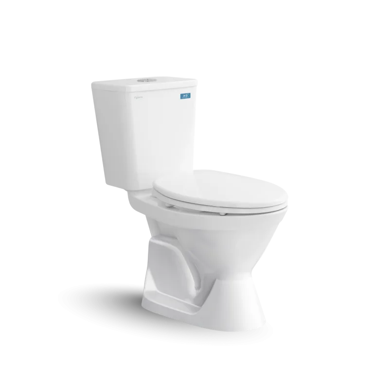 Bàn cầu hai khối VI66M
