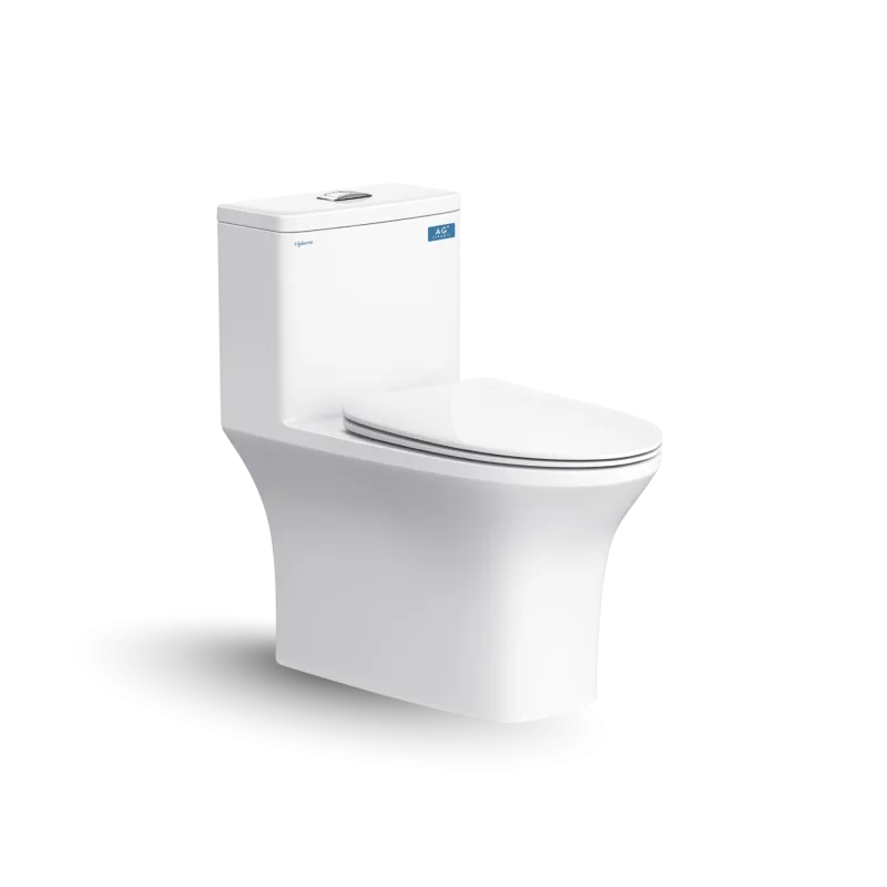 Bàn cầu một khối V72